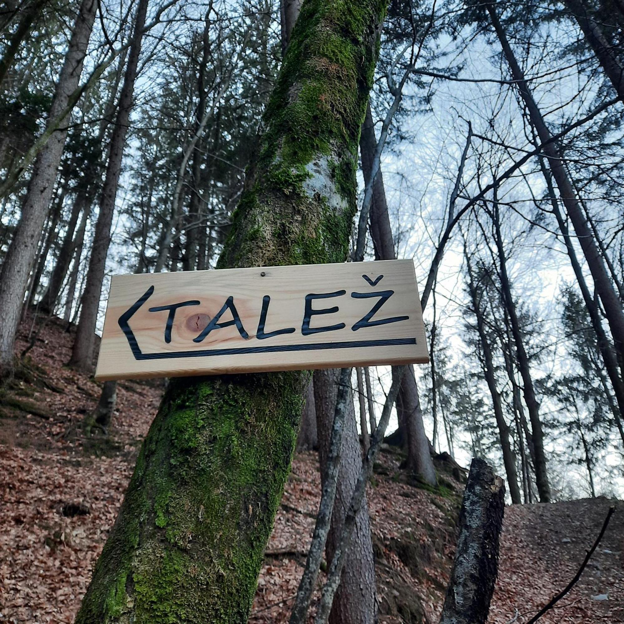 Koca V Gozdu, Forest House Near Bled Dış mekan fotoğraf