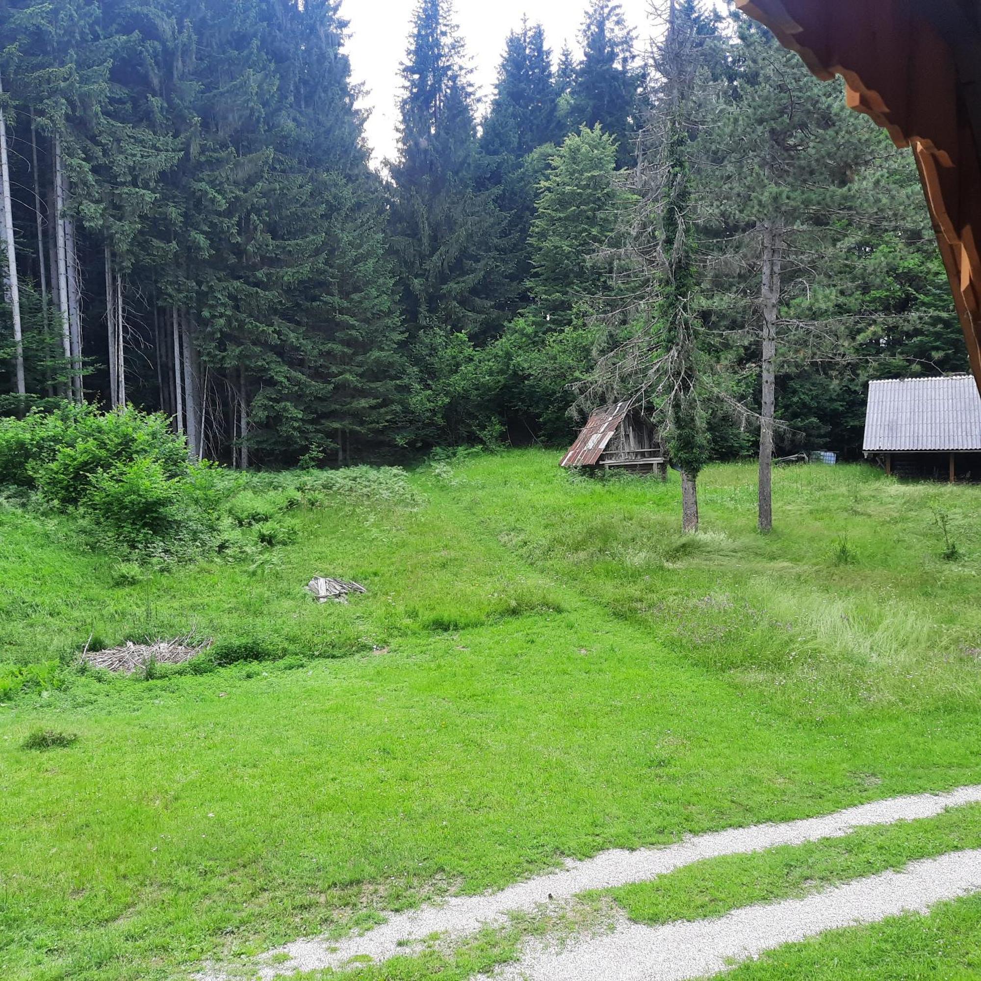 Koca V Gozdu, Forest House Near Bled Dış mekan fotoğraf