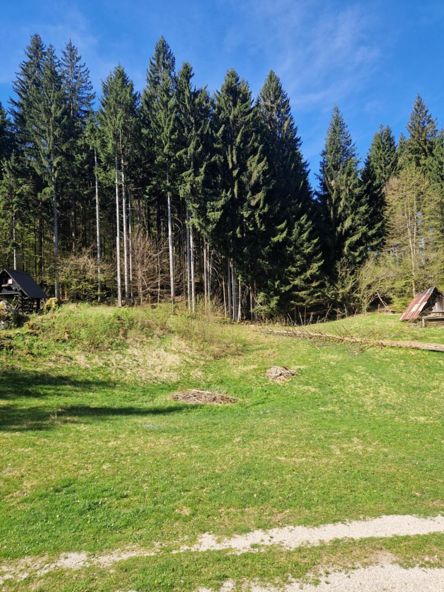 Koca V Gozdu, Forest House Near Bled Dış mekan fotoğraf