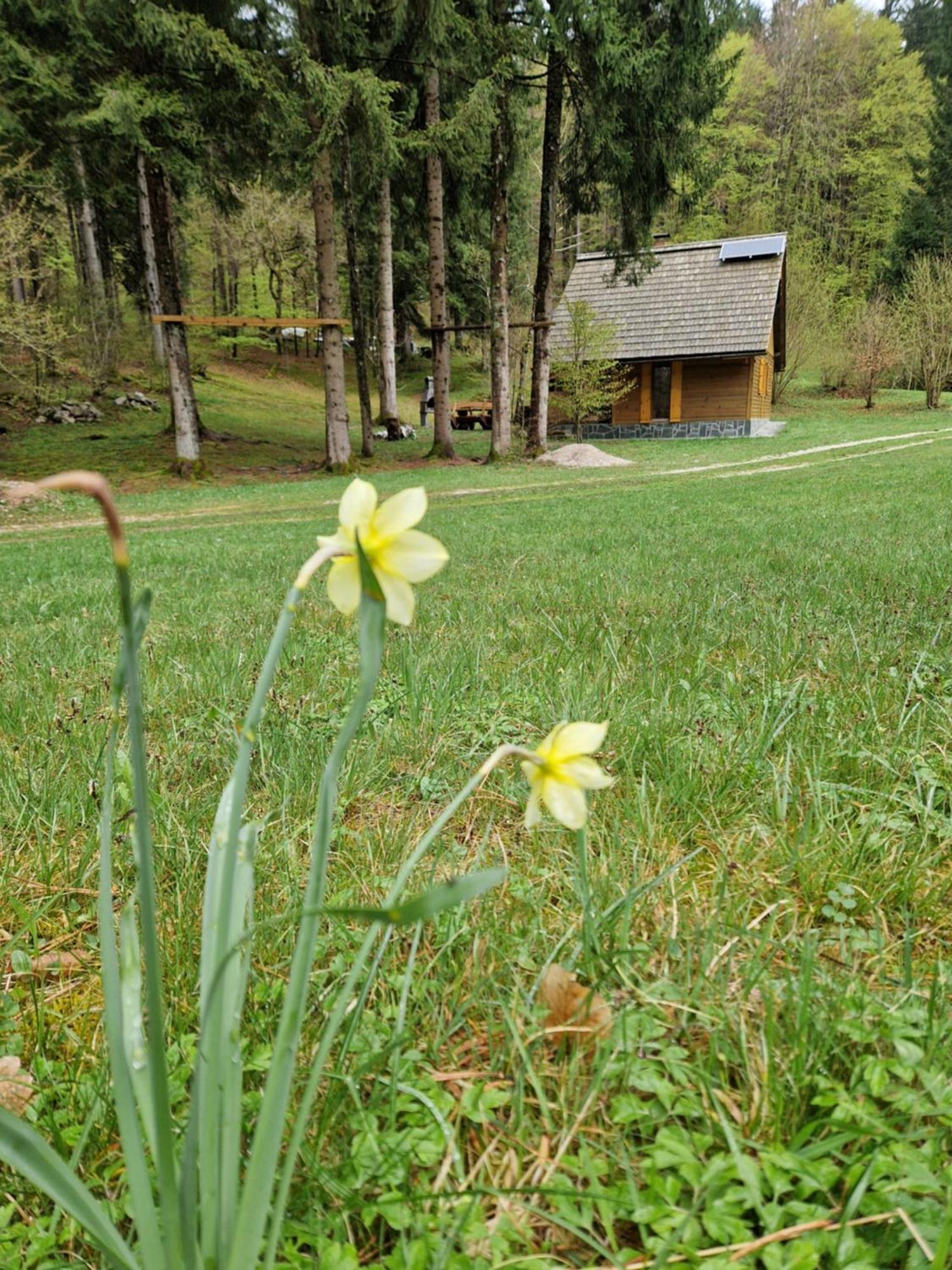 Koca V Gozdu, Forest House Near Bled Oda fotoğraf